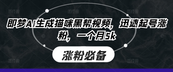 即梦AI生成猫咪黑帮视频，迅速起号涨粉，一个月5k耀梦项目-副业赚钱-互联网创业-资源整合耀梦网赚