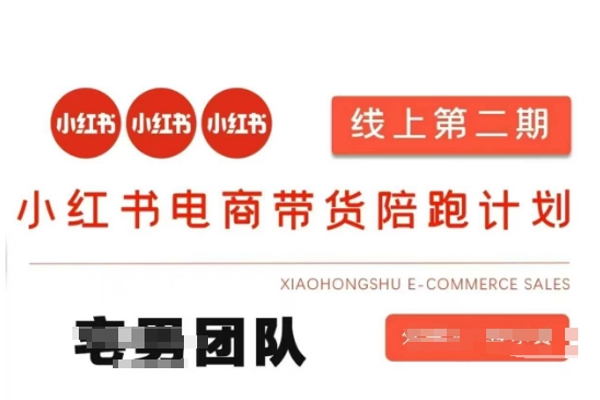 小红书电商带货课2期，月利润20个的小红书电商的有货源，无货源，虚拟产品，付费投流等整套玩法耀梦项目-副业赚钱-互联网创业-资源整合耀梦网赚