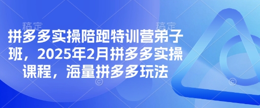 拼多多实操陪跑特训营弟子班，2025年2月拼多多实操课程，海量拼多多玩法耀梦项目-副业赚钱-互联网创业-资源整合耀梦网赚