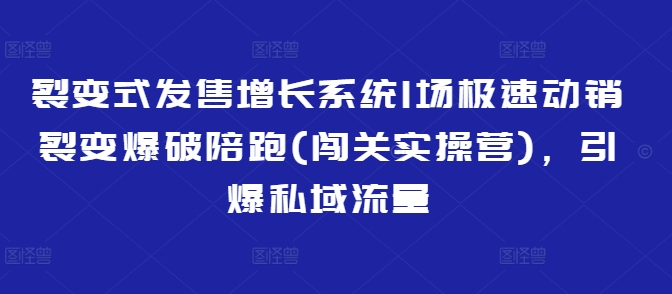 裂变式发售增长系统1场极速动销裂变爆破陪跑(闯关实操营)，引爆私域流量耀梦项目-副业赚钱-互联网创业-资源整合耀梦网赚