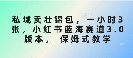 私域卖壮锦包，一小时3张，小红书蓝海赛道3.0版本， 保姆式教学耀梦项目-副业赚钱-互联网创业-资源整合耀梦网赚