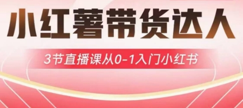 小红薯达人带货启航计划，3节直播课从0-1入门小红书耀梦项目-副业赚钱-互联网创业-资源整合耀梦网赚