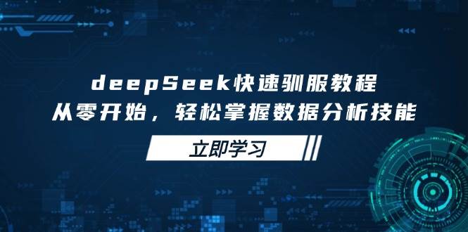 deepSeek快速驯服教程，从零开始，轻松掌握数据分析技能耀梦项目-副业赚钱-互联网创业-资源整合耀梦网赚