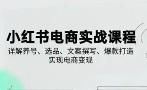 小红书从0-1实操课(2023-2025)，详解养号、选品、文案撰写、爆款打造实现电商变现耀梦项目-副业赚钱-互联网创业-资源整合耀梦网赚