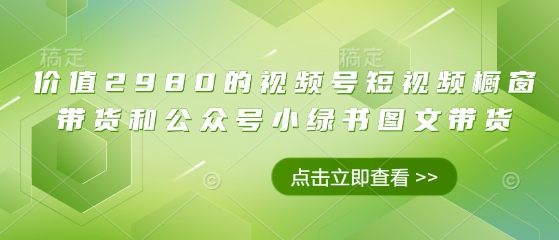 价值2980的视频号短视频橱窗带货和公众号小绿书图文带货耀梦项目-副业赚钱-互联网创业-资源整合耀梦网赚